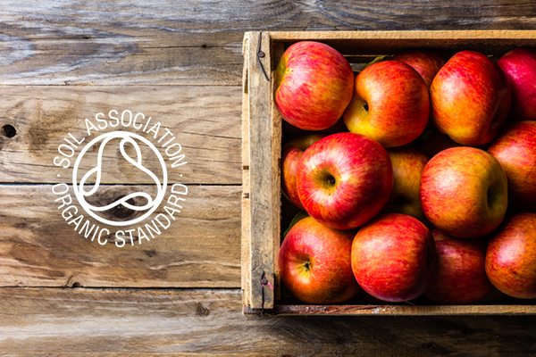 Organic Orchard